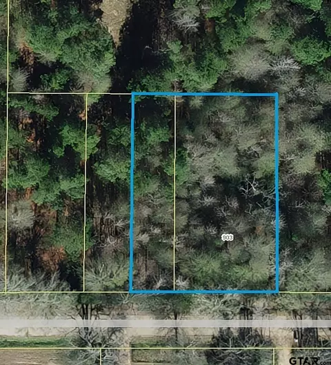 903 E Bailey Ave, Troup, TX 75789