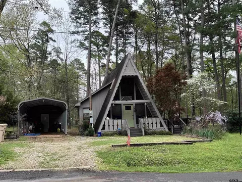 401 King Lake Rd, Scroggins, TX 75480