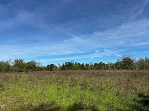 000 Cr 2950, Alba, TX 75410