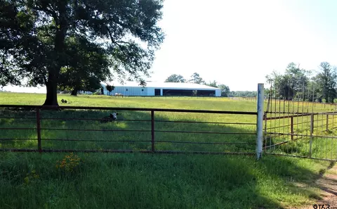 8223 S St Hwy 155, Big Sandy, TX 75755