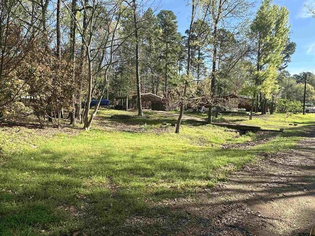 tbd Private Road 52436, Pittsburg, TX 75686