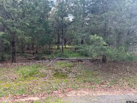 0000 Cypress Cv, Holly Lake Ranch, TX 75765