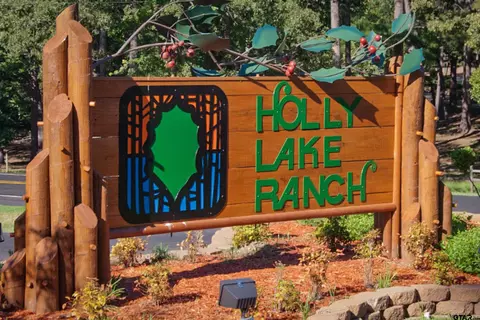 Tbd Holly Trail East, Holly Lake Ranch, TX 75765