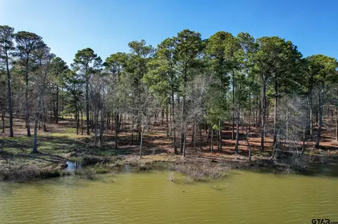 lot2 Caddo Pt, Scroggins, TX 75480