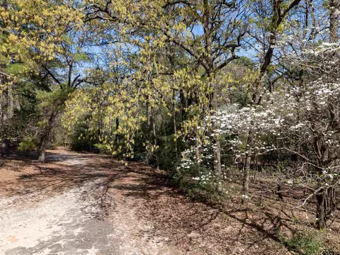 Tbd Winding Knoll, Holly Lake Ranch, TX 75765