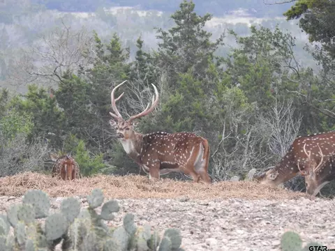 lot13 23 Oak Vly, Rocksprings, TX 78880