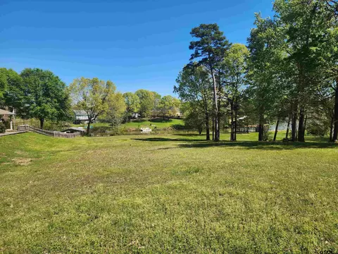 tbd Cr 2936, Pittsburg, TX 75686