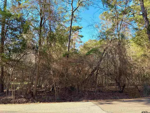 18186 Wildlakes Rd, Flint, TX 75762