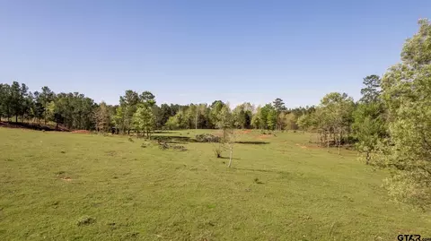 1323 Cr 4117, Overton, TX 75684
