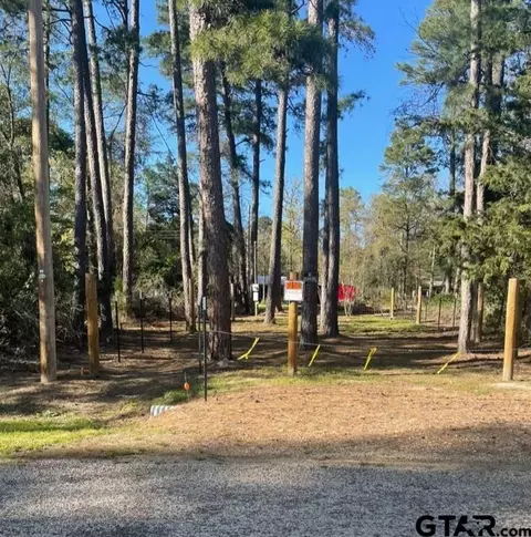 lot52 King Ramses Rd, Scroggins, TX 75480