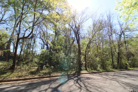 408 Shande St, Whitehouse, TX 75791