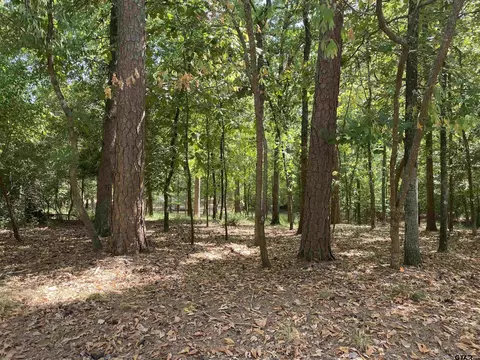 Tbd Lamplight Path, Holly Lake Ranch, TX 75765