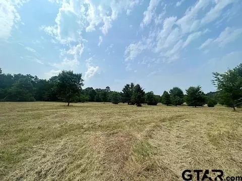 23109 Cr 3107, Gladewater, TX 75647