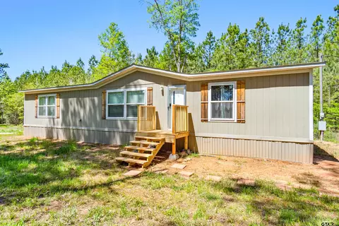 3931 Driskell Rd, Harleton, TX 75651