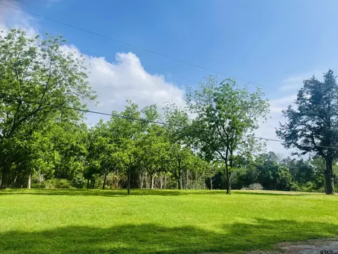 Lot 1 Pecan Gr Pineda, Jacksonville, TX 75766