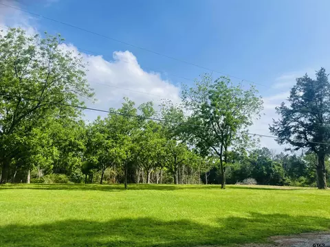 lot1 Pecan Gr Pineda, Jacksonville, TX 75766