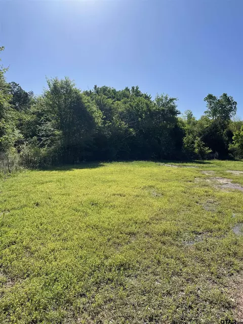 6001 Cr 233, Tyler, TX 75705