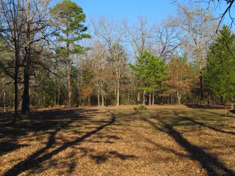 tbd Cr 1605, Alba, TX 75410