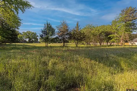 tbd Lot 1 Pecan Dr, Bullard, TX 75757