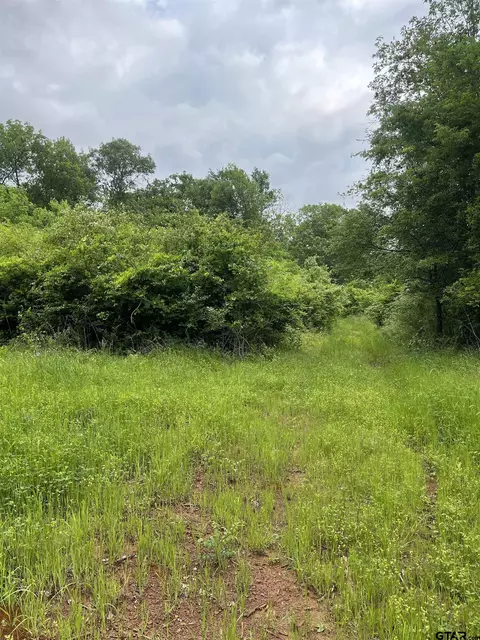 10423 Cr 2123, Whitehouse, TX 75791