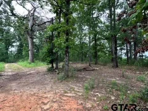 16951 Easy St, Flint, TX 75762