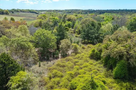 Tbd Fm 1861, Eustace, TX 75124 photo 4