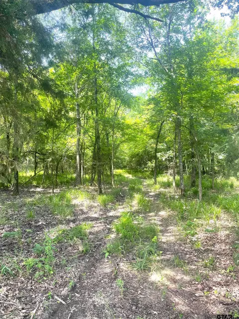 tbd Cr 4220, Annona, TX 75550