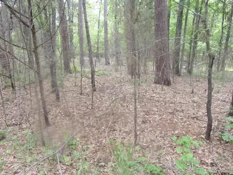 tbd Bent Tree, Murchison, TX 75778 photo 4
