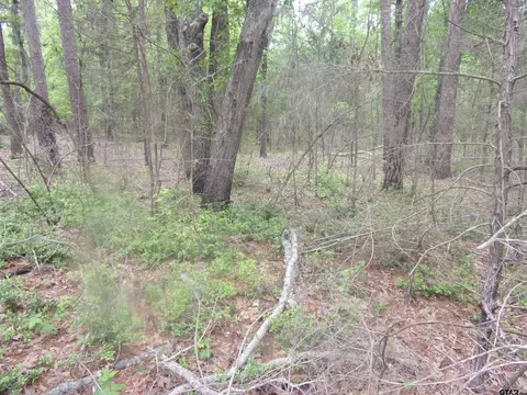 tbd Bent Tree, Murchison, TX 75778 photo 3