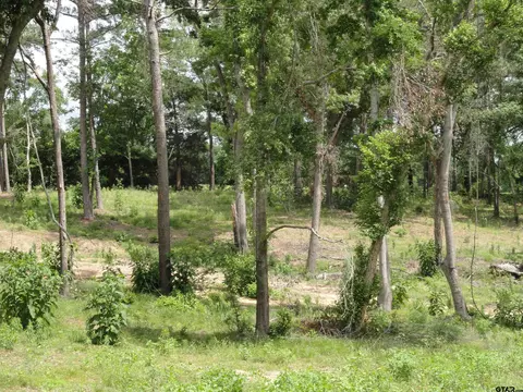 0 Garner, Frankston, TX 75763