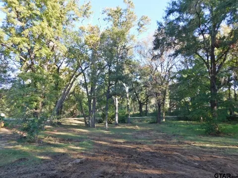 Exterior - 520 Lance, Quitman, TX 75783 photo 10 of 10