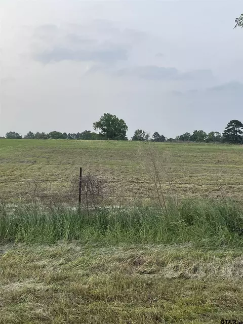 Tbd 1519, Pittsburg, TX 75686