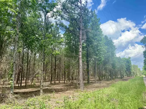 tbd 2 Cr 374, Gladewater, TX 75647