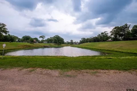 624 Comanche, Quitman, TX 75783 photo 5