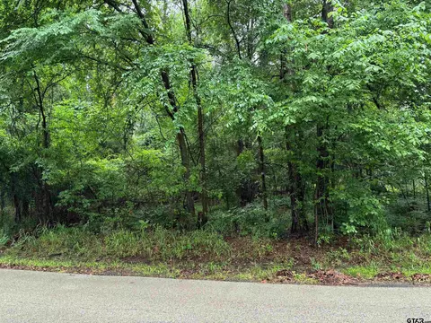 17468 Flaming Tree Way, Flint, TX 75762