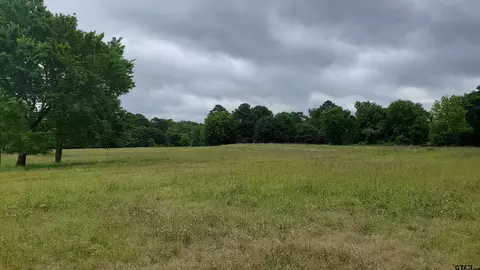 2404 Catalpa Rd, Big Sandy, TX 75755