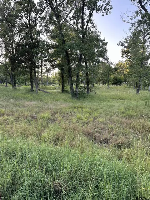 tbd Rs County Road 2340, Emory, TX 75440