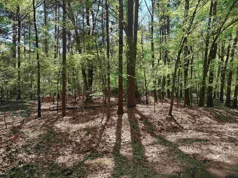 tbd Crooked Crk, Mount Vernon, TX 75457