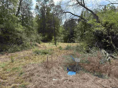 tbd Fm 838, Overton, TX 75684