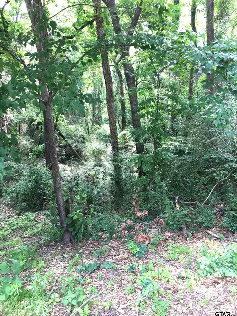 8714 Radcliffe Dr, Tyler, TX 75703
