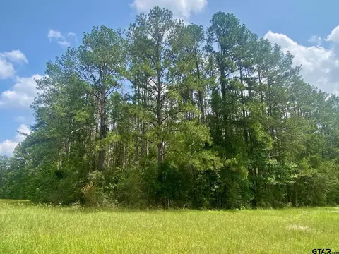 tbd Cr 4600, Kennard, TX 75847