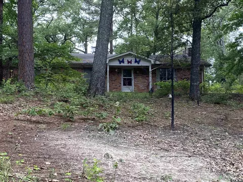 333 Cr 3560, Big Sandy, TX 75755