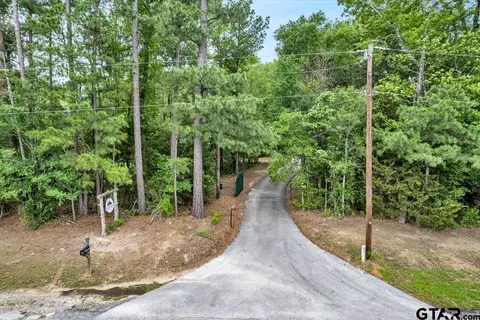 1700 Vz County Road 4609, Ben Wheeler, TX 75754