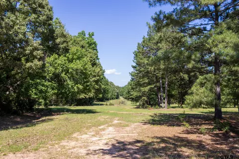 10656 N Cr 2142, Tatum, TX 75691