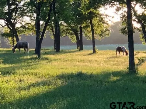 11720 Fm 59, Athens, TX 75751