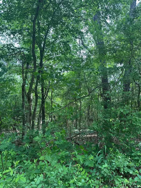 428 Brazos, Bullard, TX 75757