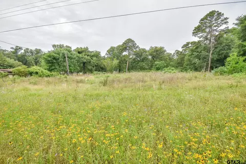 2600 Fm 1799, Mineola, TX 75773