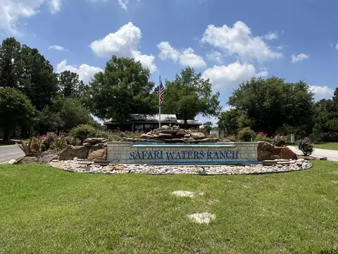 221 Safari Shores Dr, Larue, TX 75770