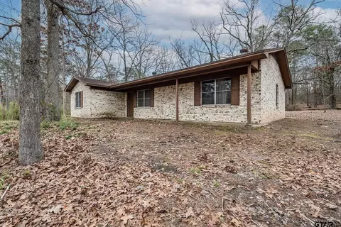 8442 N Fm 726, Diana, TX 75640