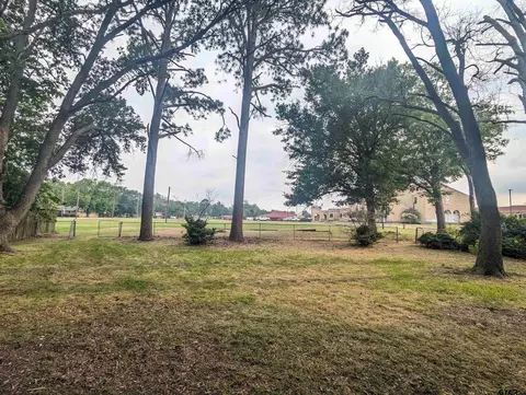 311 E Main, Van, TX 75790 photo 23